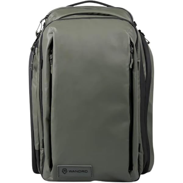 Amazon.co.jp: 【国内正規品】Peak Design トラベル バックパック 45L